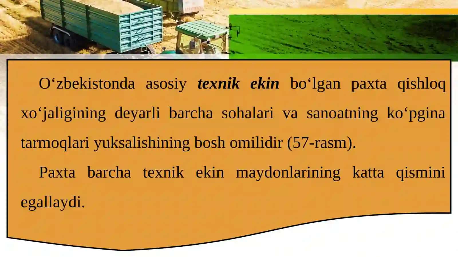 DEHQONCHILIK 4