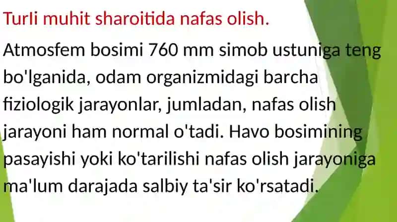 Nafas olish tuzilishi 4