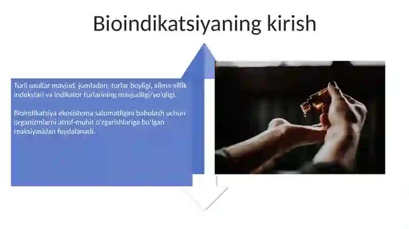 Ekotizmlar holatining bioindikatsiya usullari 4