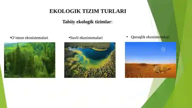 EKOLOGIK TIZIM TURLARI,BIOLOGIK MAHSULDORLIGI 4