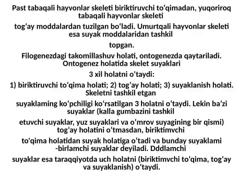 Odam anatomiyasi 4