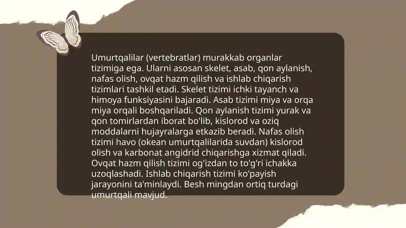 Umurtqali hayvonlarda orgonagenez 4