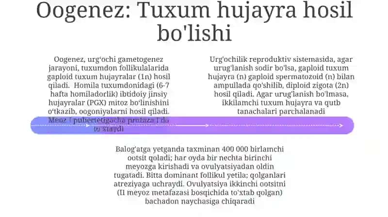 Tuxumdon gormonlari 4