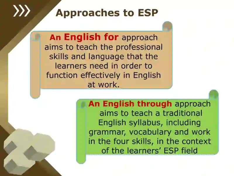 THE ROLE OF THE STUDENT ESP 4