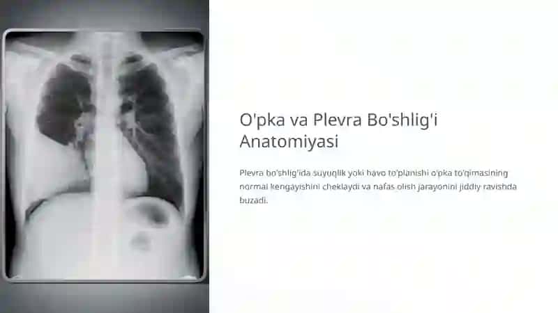 O'pkada Bo'shliq Sindromi: Sabablar, Belgilar va Davolash 4