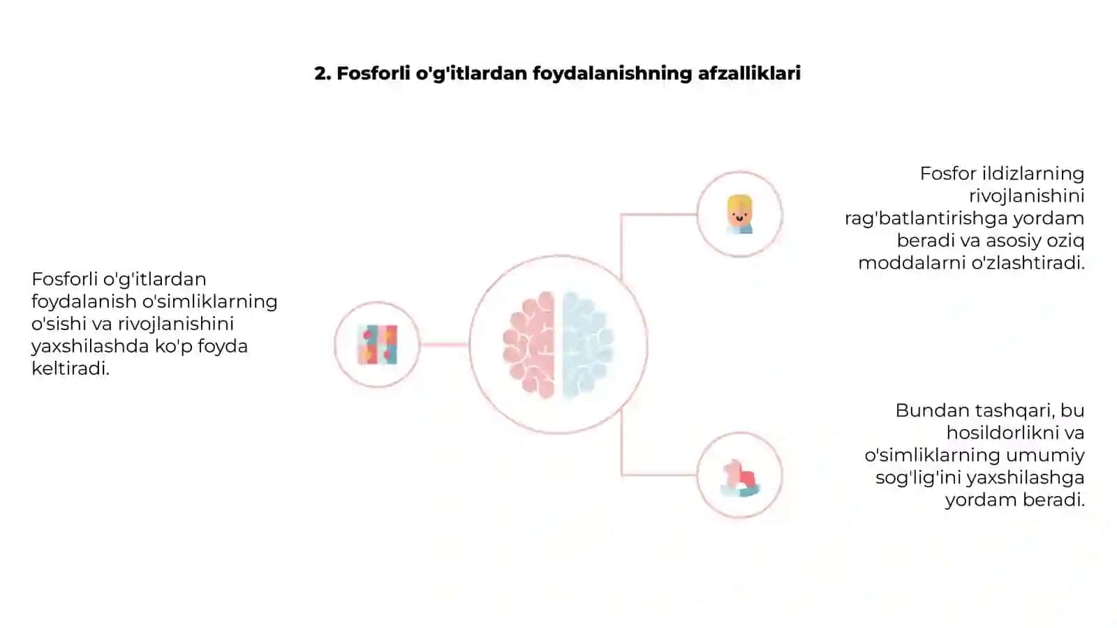Fosforli o'g'itlarning eng muhim xususiyatlari 4