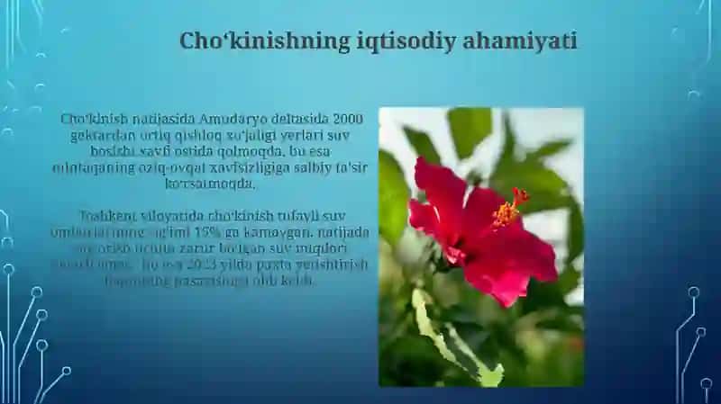 Cho'kinishni oʻrganish usullari 4