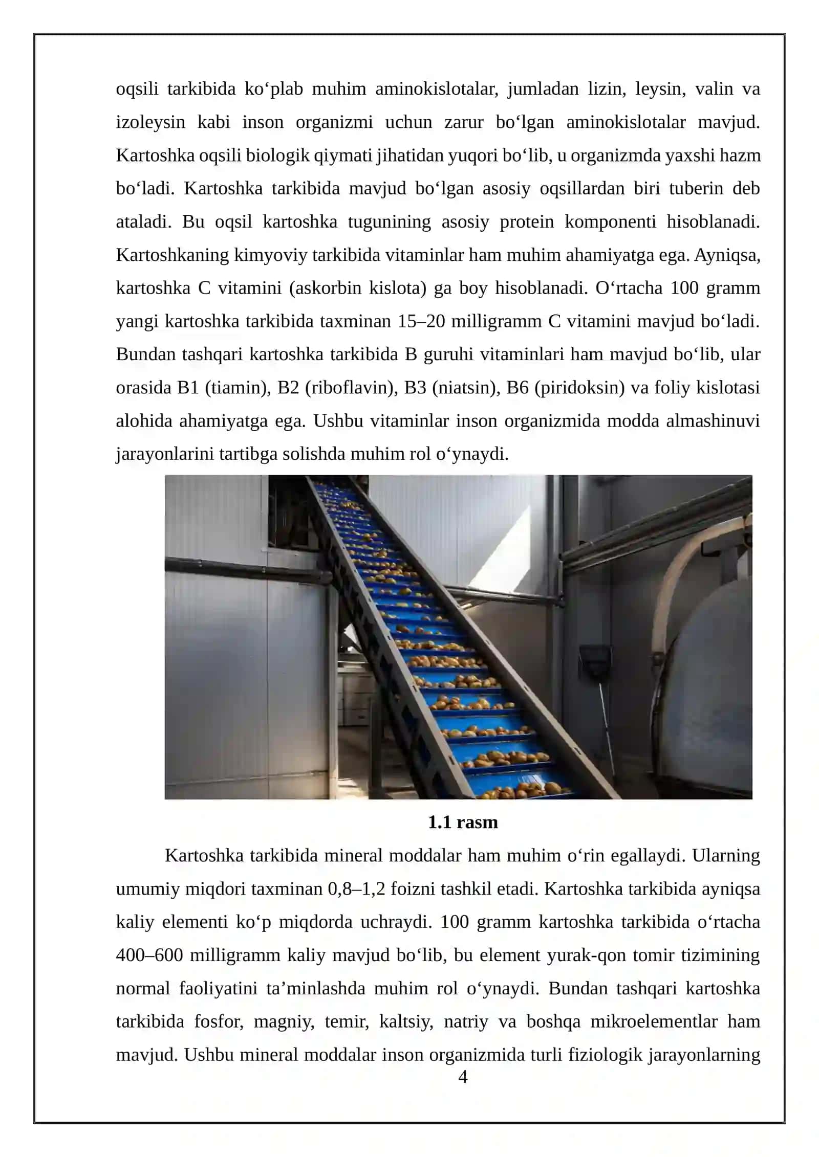 Kartoshka quritish texnalogiyasi 4