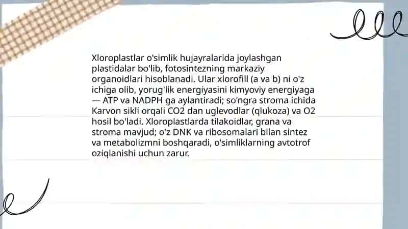 Plastidalarni osimlik organizmidagi ahamiyati 4