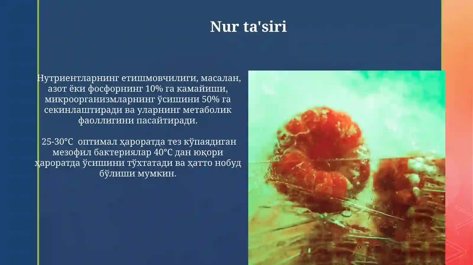 Mikroorganizmlarga tashqi muhit omillarinning tasiri 4