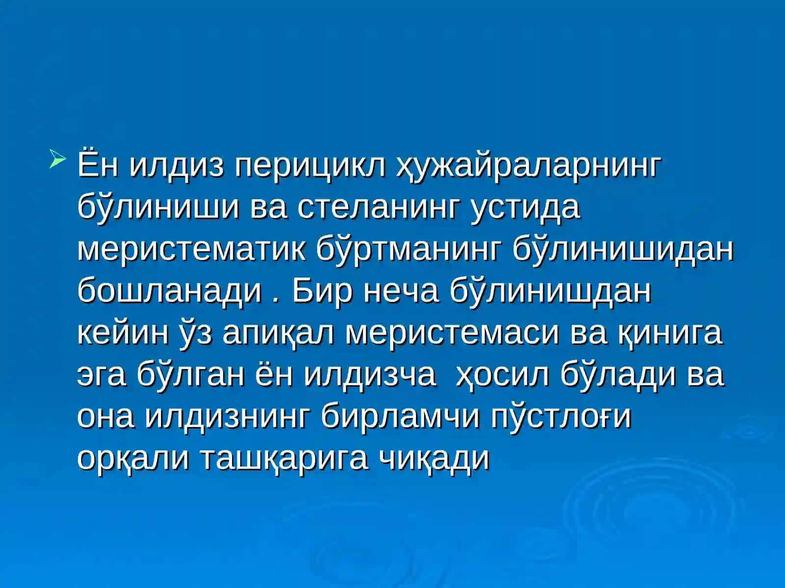 Илдизлар системалари 4