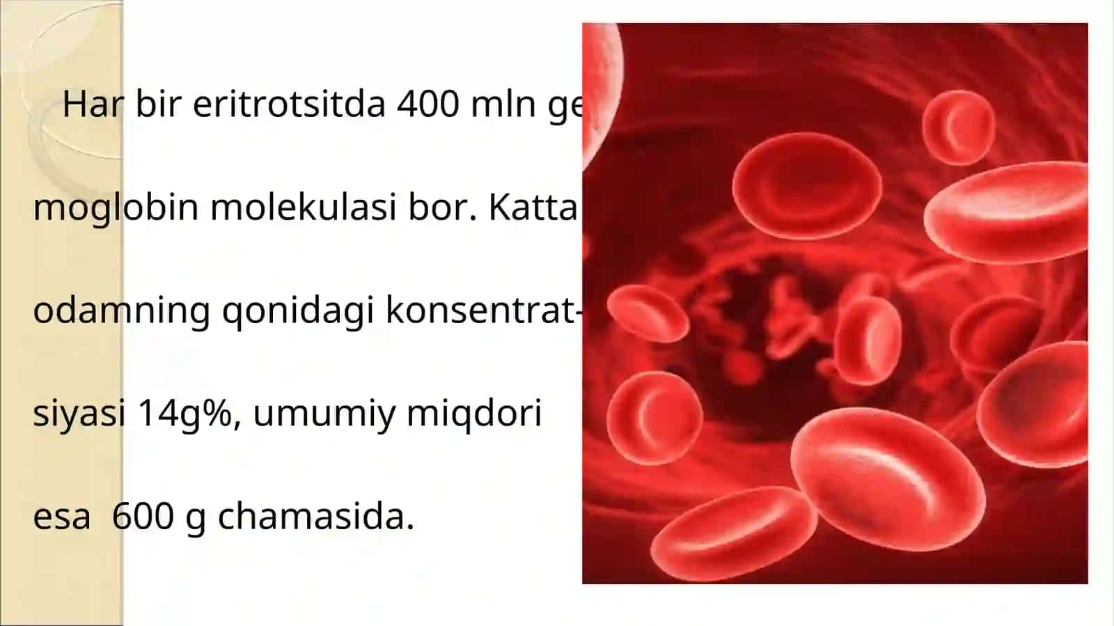 Slayd: Gemoglobin va uning turlari. Leykotsitlar 4