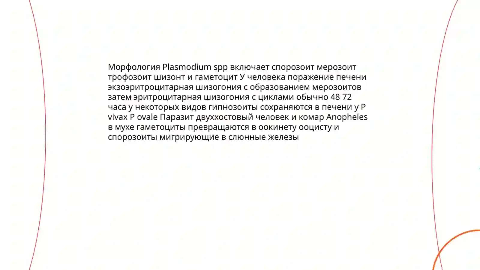 Sporalilar –odam parazitlari 4