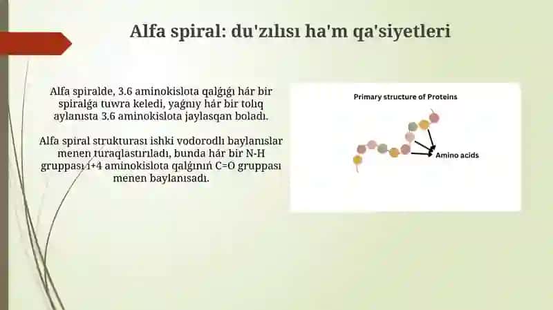 Polipeptidlik shinjirinin' alfa ha'm beta strukturasi 4