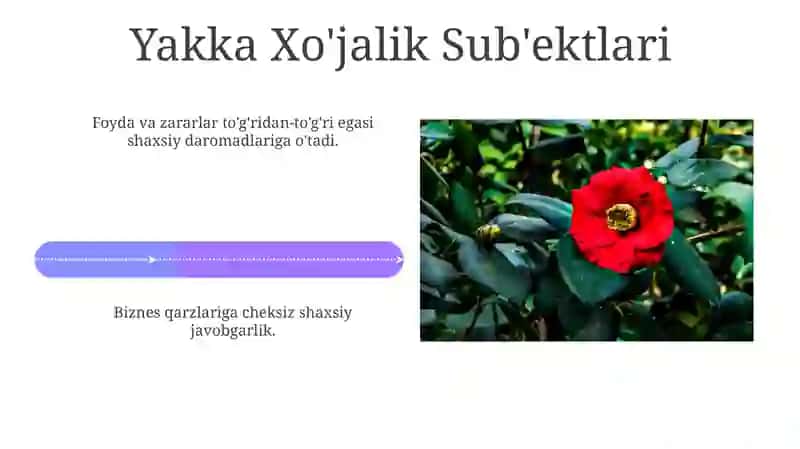 Turli firma turlarining asosiy xususiyatlari 4