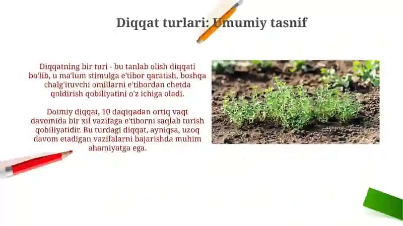Diqqat turlari va xususiyatlari 4