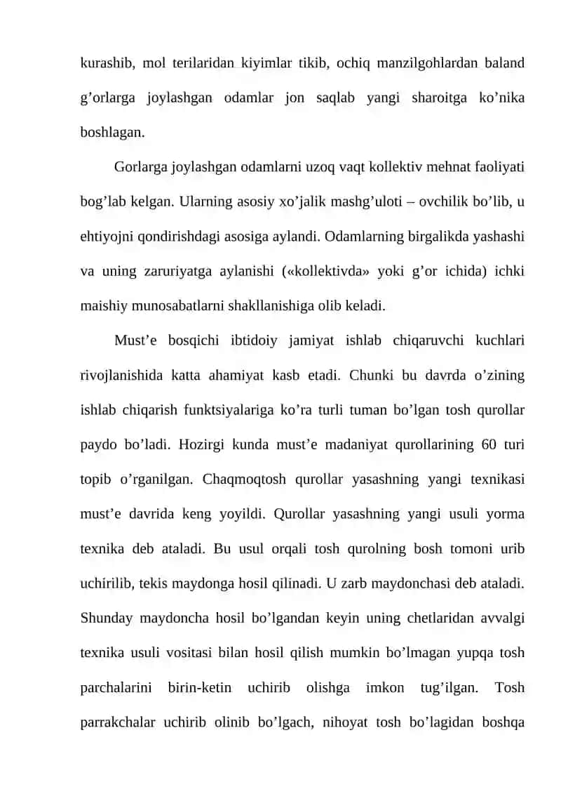 O’rta paleolit davri arxeologiyasi 4