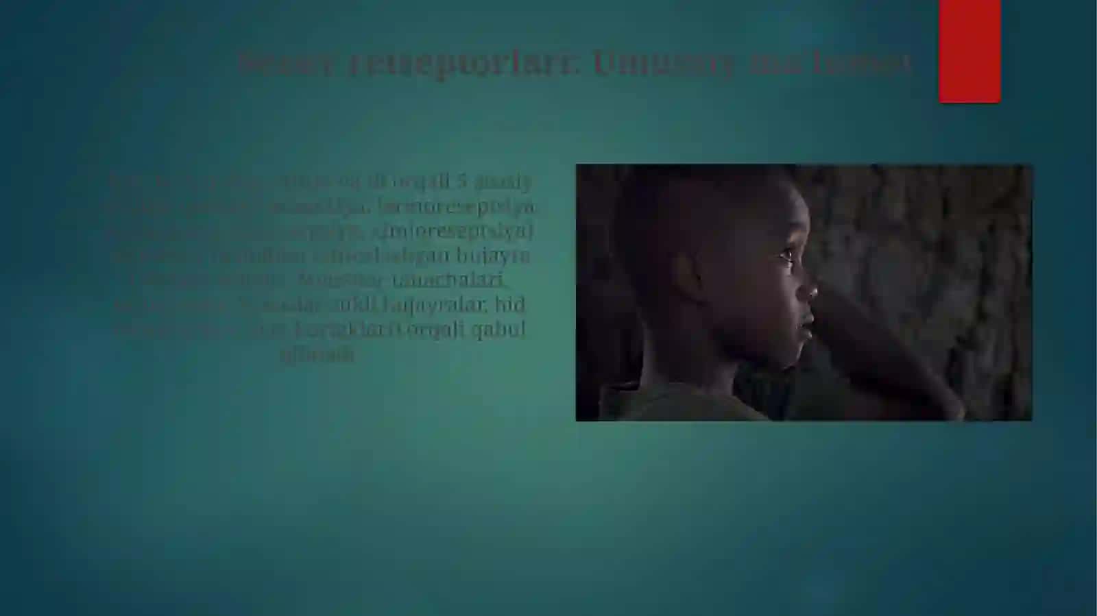 Inson sezgi a'zolari: Umumiy ma'lumot 4