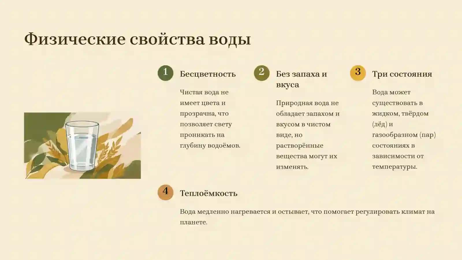 Вода — источник жизни 4