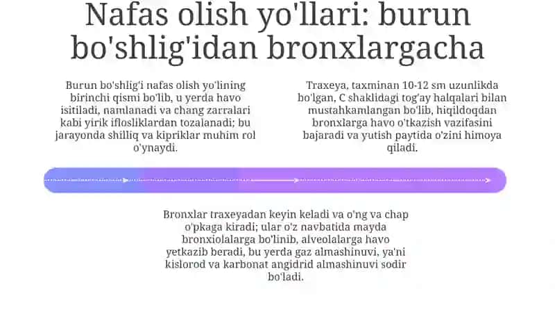 Nafas organlari 4