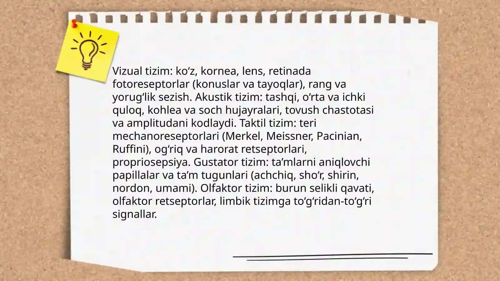 Sezgi va idrok psixologiyasi 4