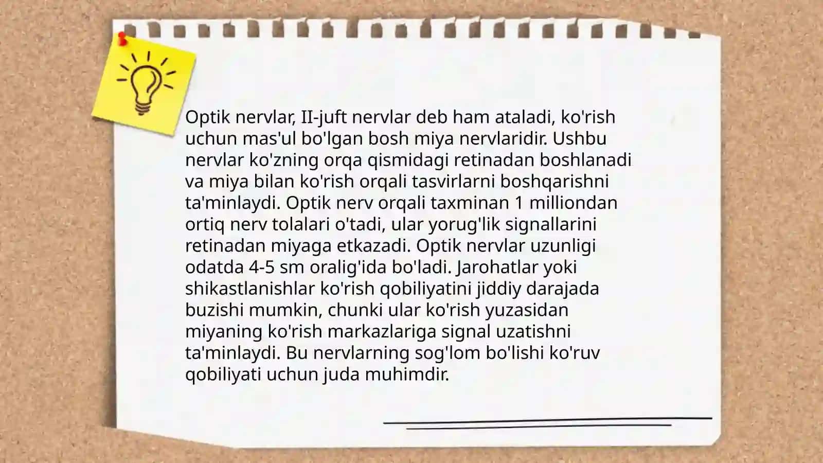 O'n ikki juft nervlar 4