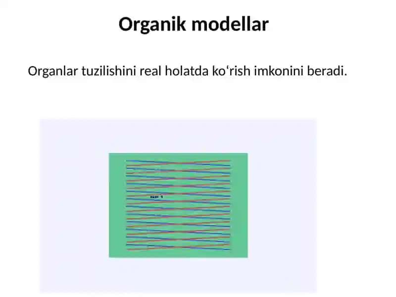 Biologiya darslarida koʻrgazmali qurollar 4
