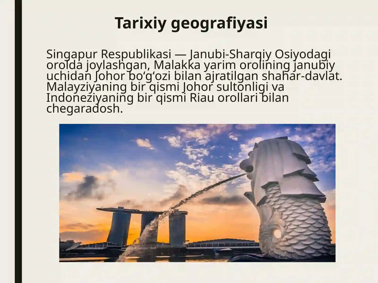 Singapur etnogeografiyasi 4