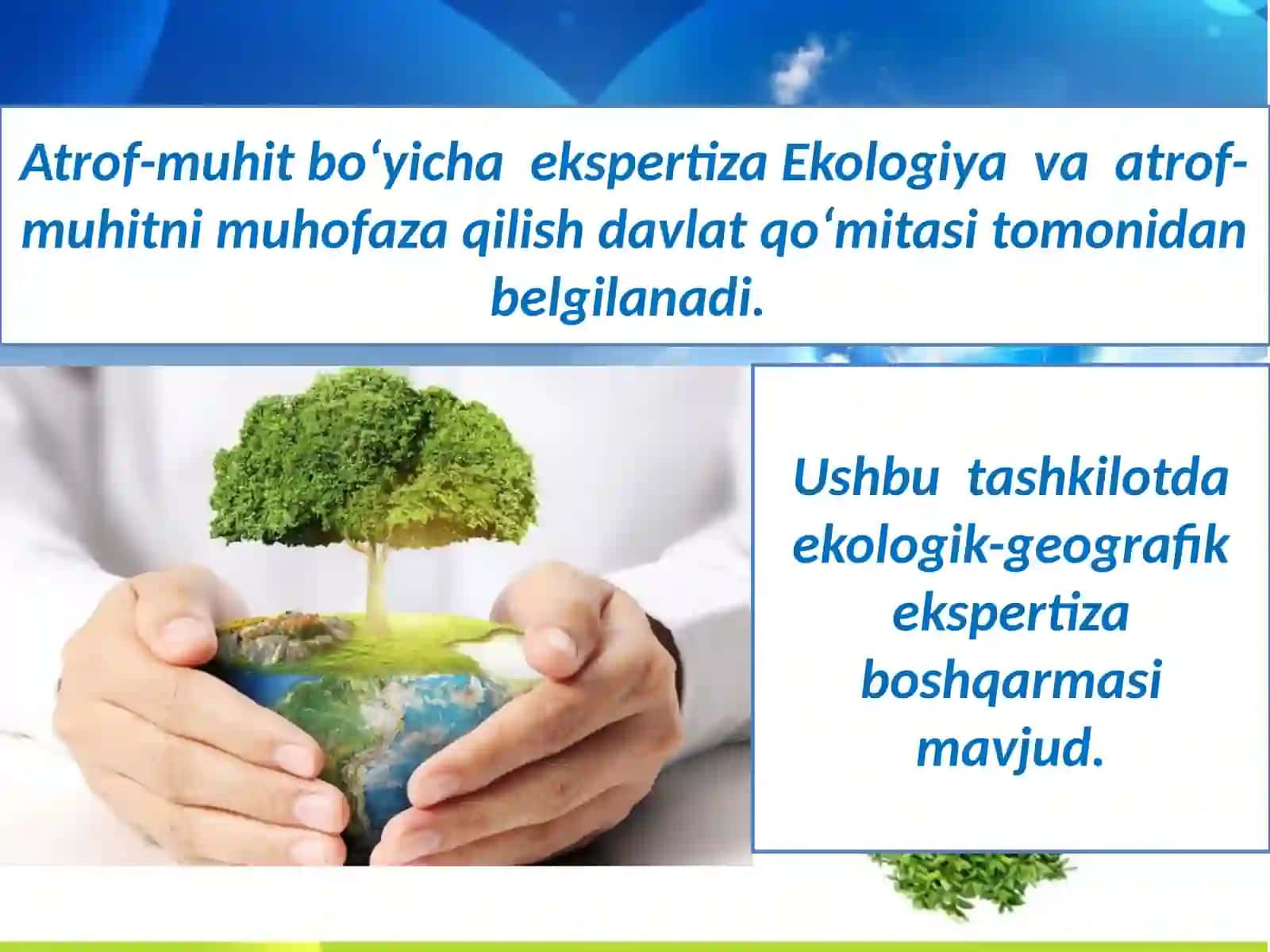 Ekologik ekspertizani baholash 4