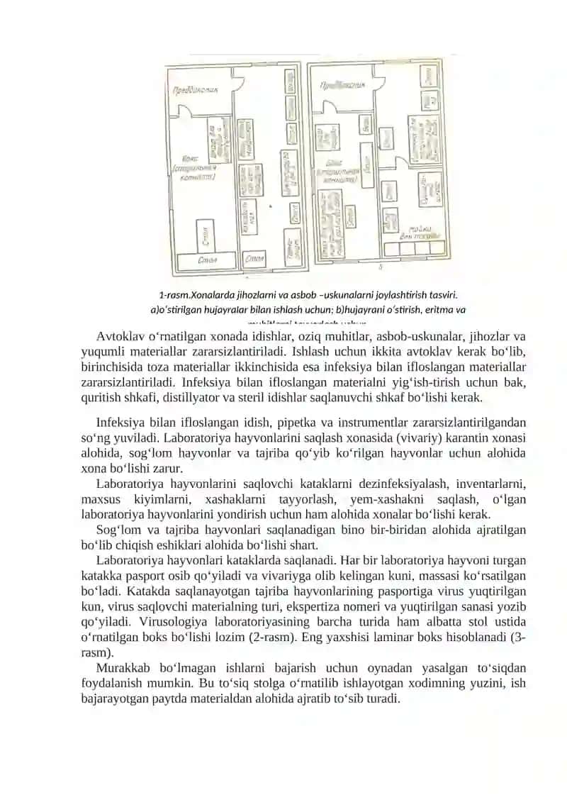 Viruslarning asosiy xususiyatlari 4