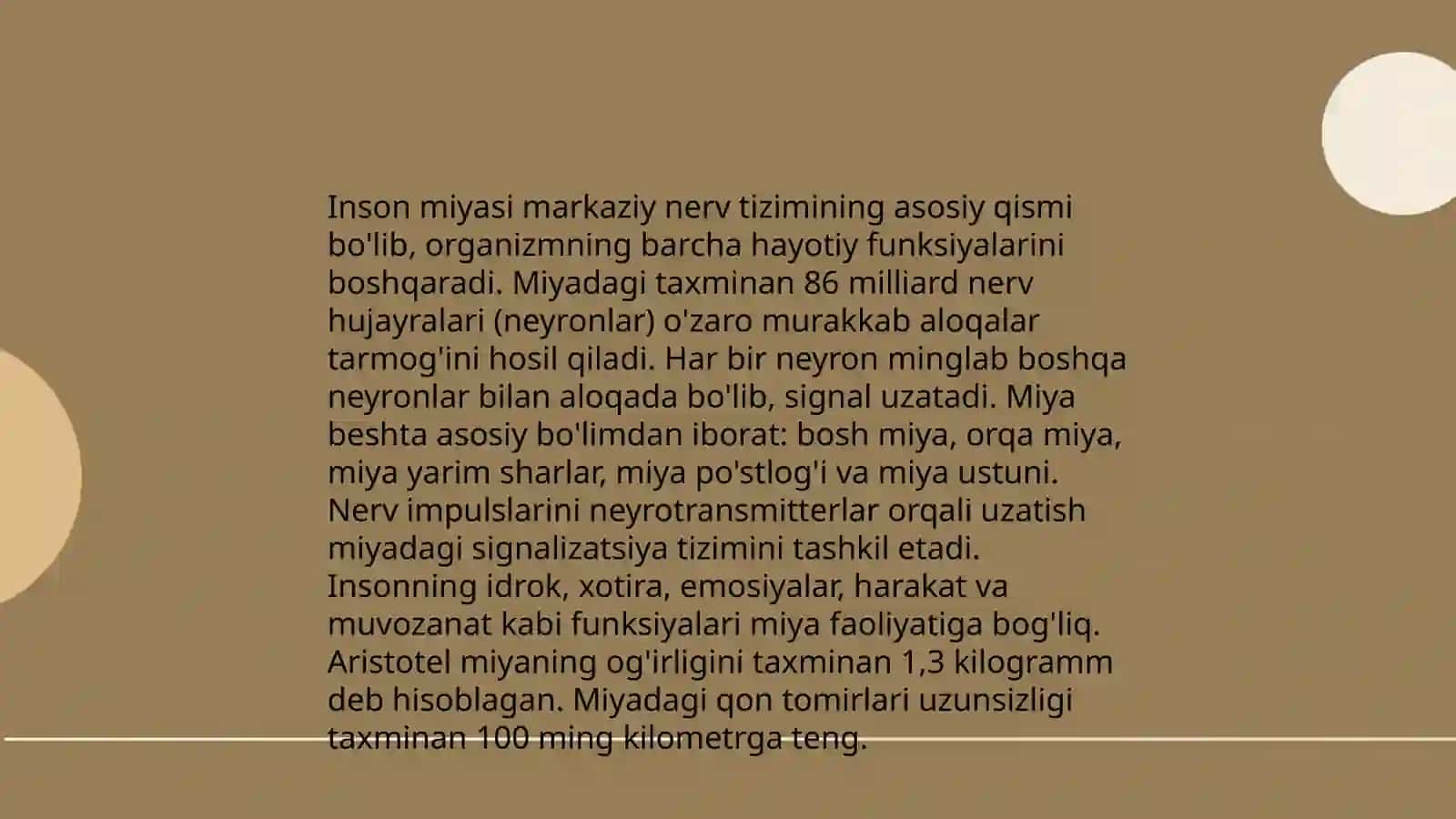 Oliy nerv faoliyatining tiplari 4