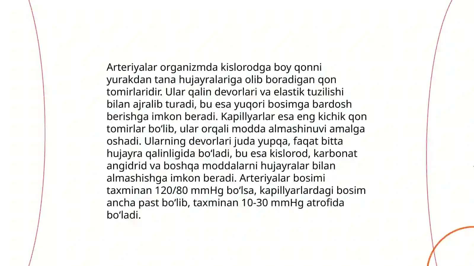 Yurakning qon bilan ta'minlanishi 4