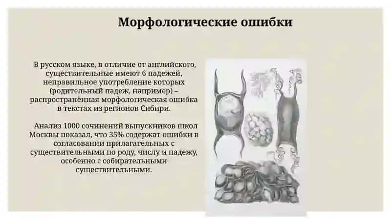 Морфология 4