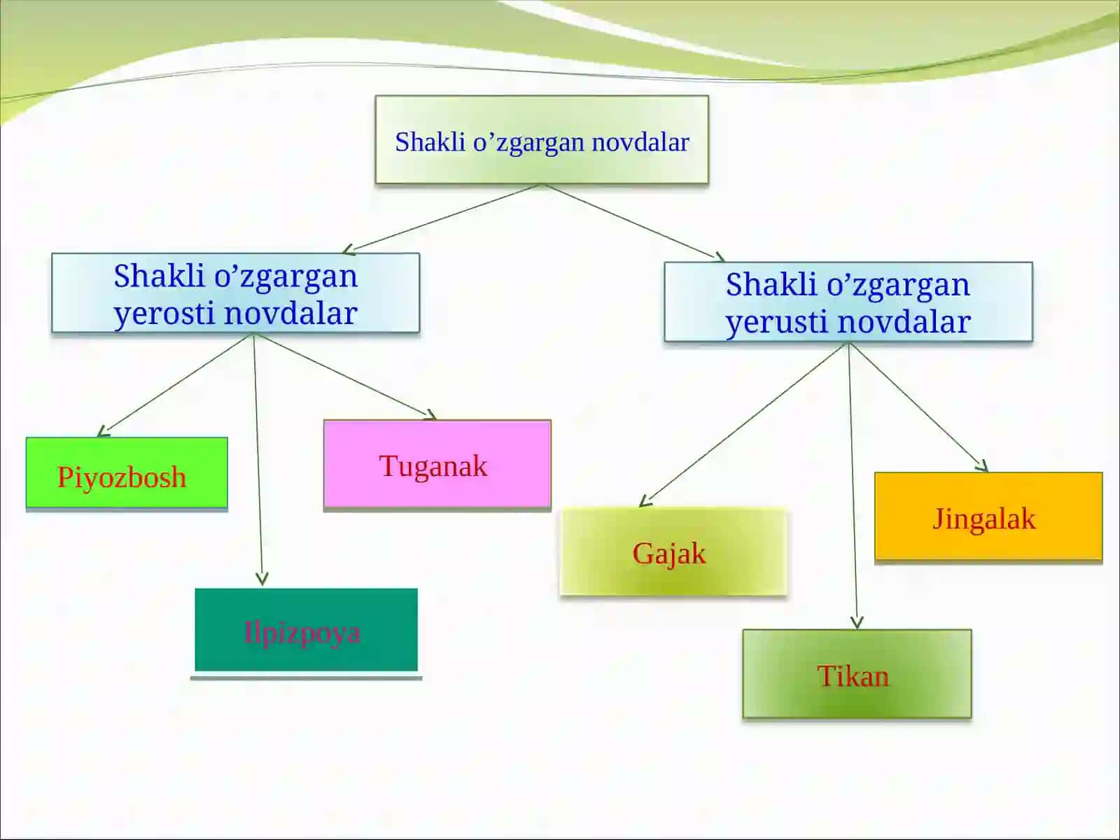 Bargning tuzilishi 4