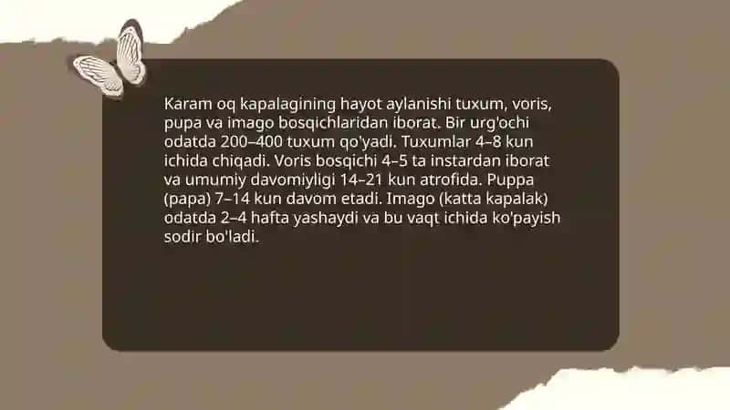 Karam oq kapalagi 4