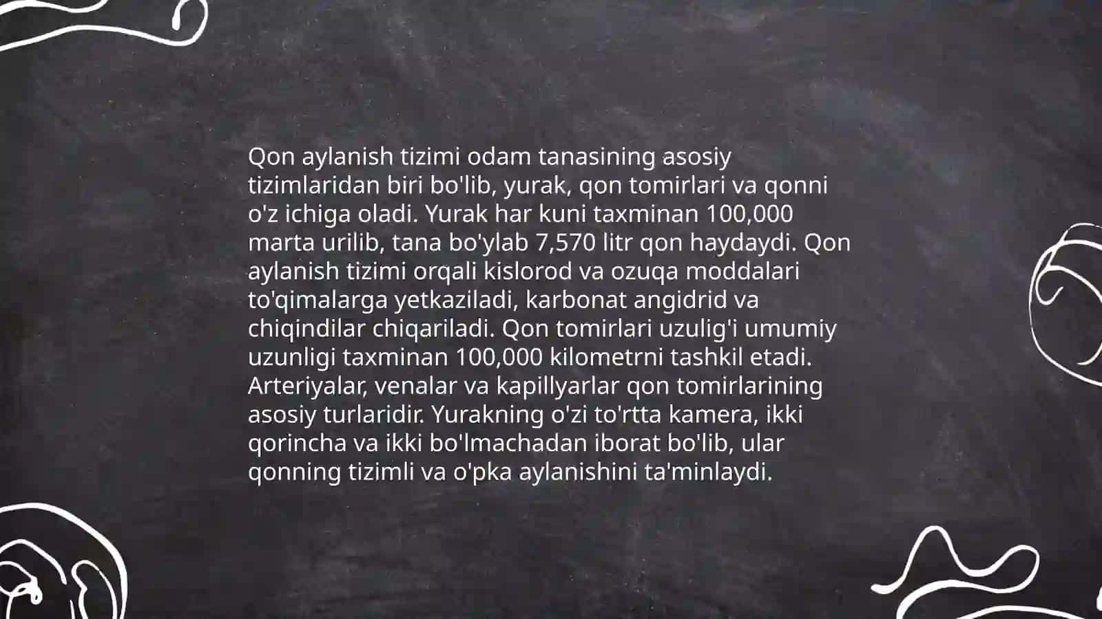 Yurak Qon Tomirlari 4