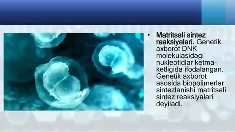 Hujayra tiriklikning irsiy birligi 4