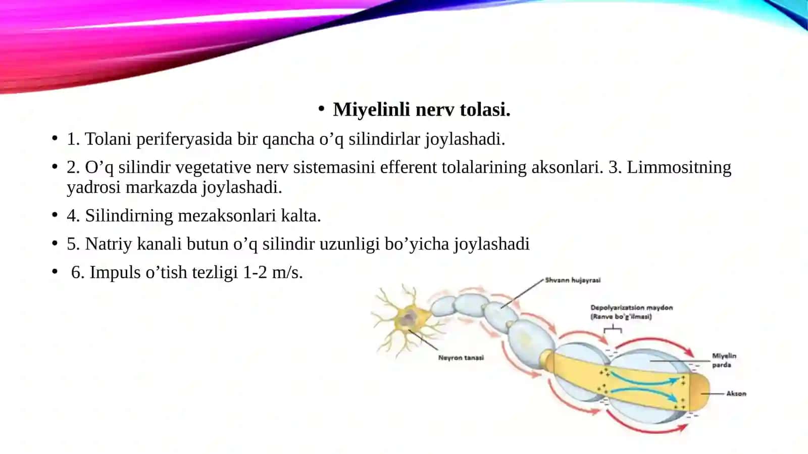Prezentatsiya 4