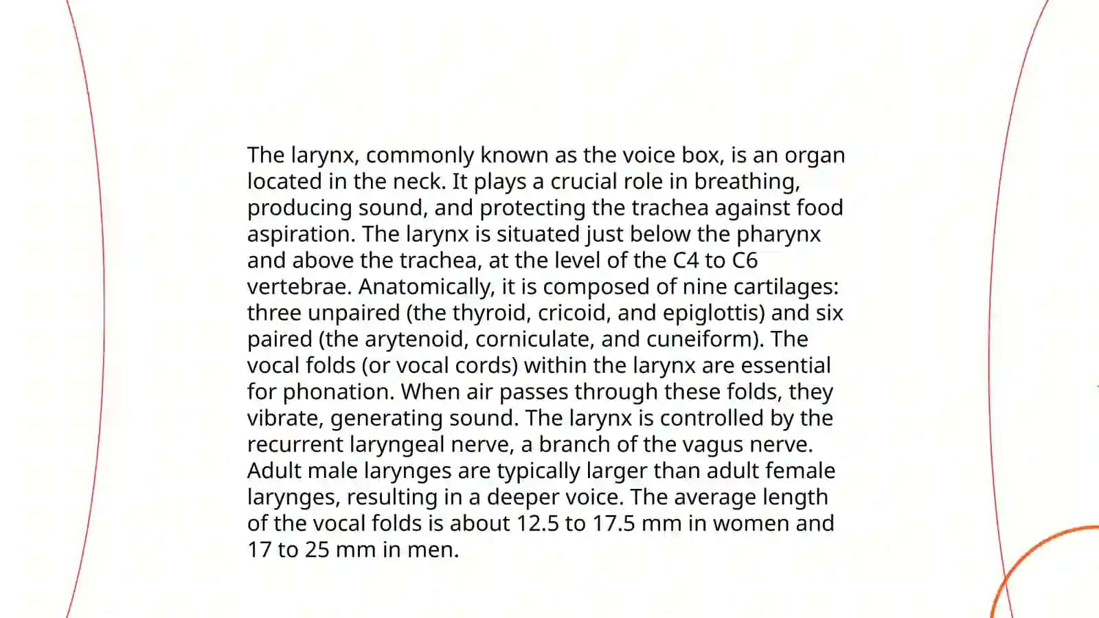 The Organs of Speech 4