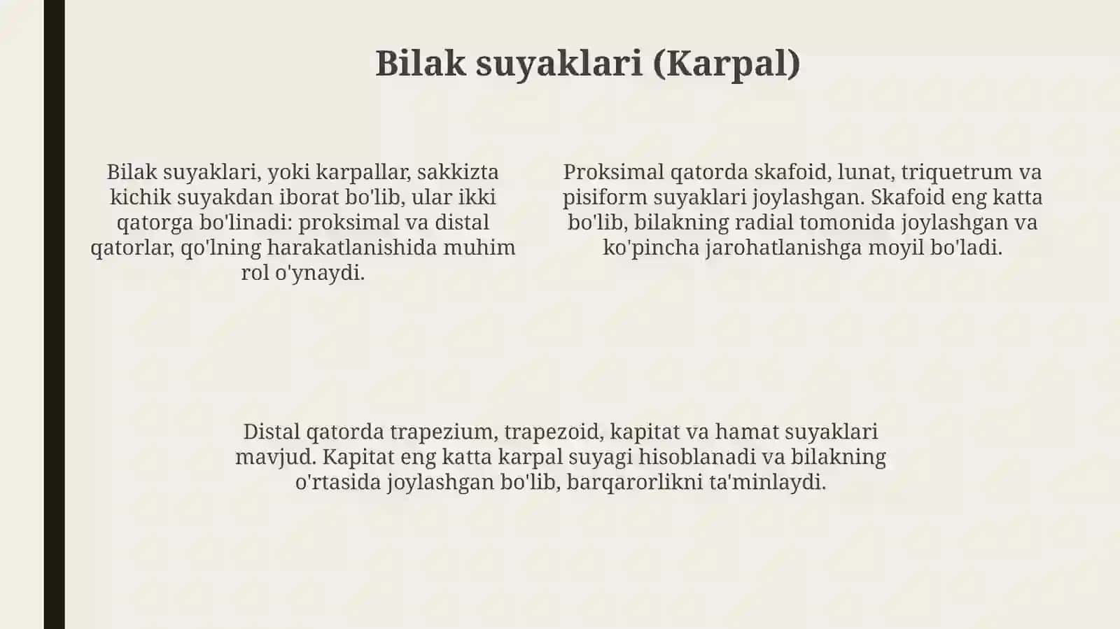Anatomiyasuyaklarqoʻlsuyaklari 4