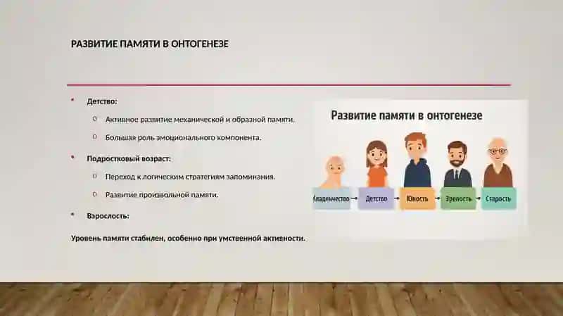 Память. Развитие, старение и распад 4