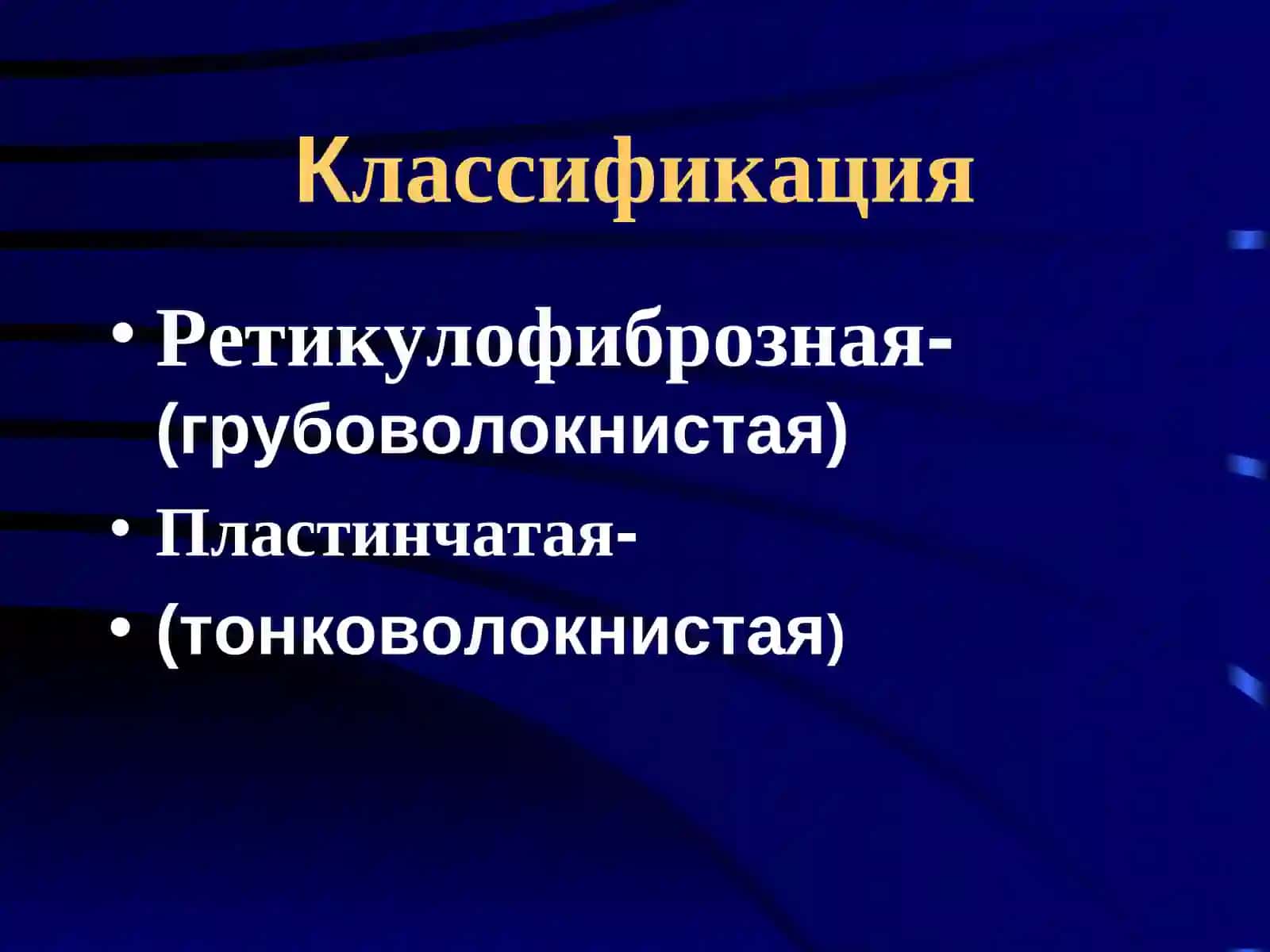 Костные и хрящевые ткани 4
