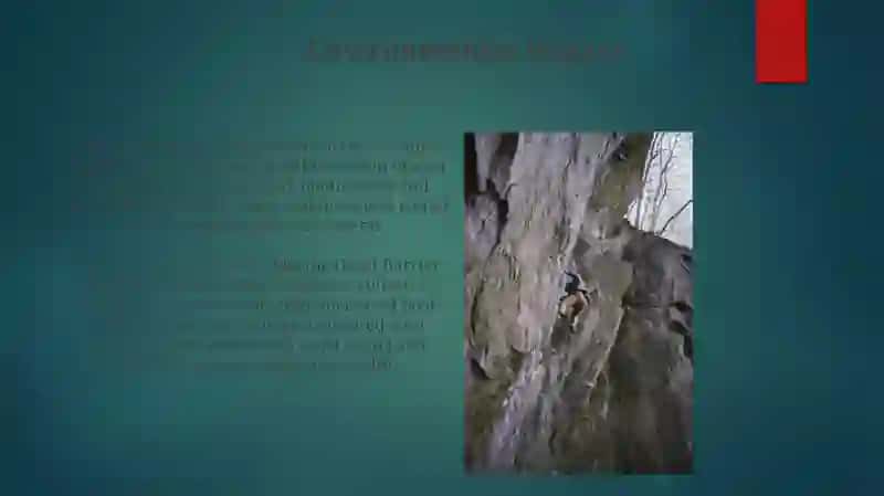 Outdoor sports 4
