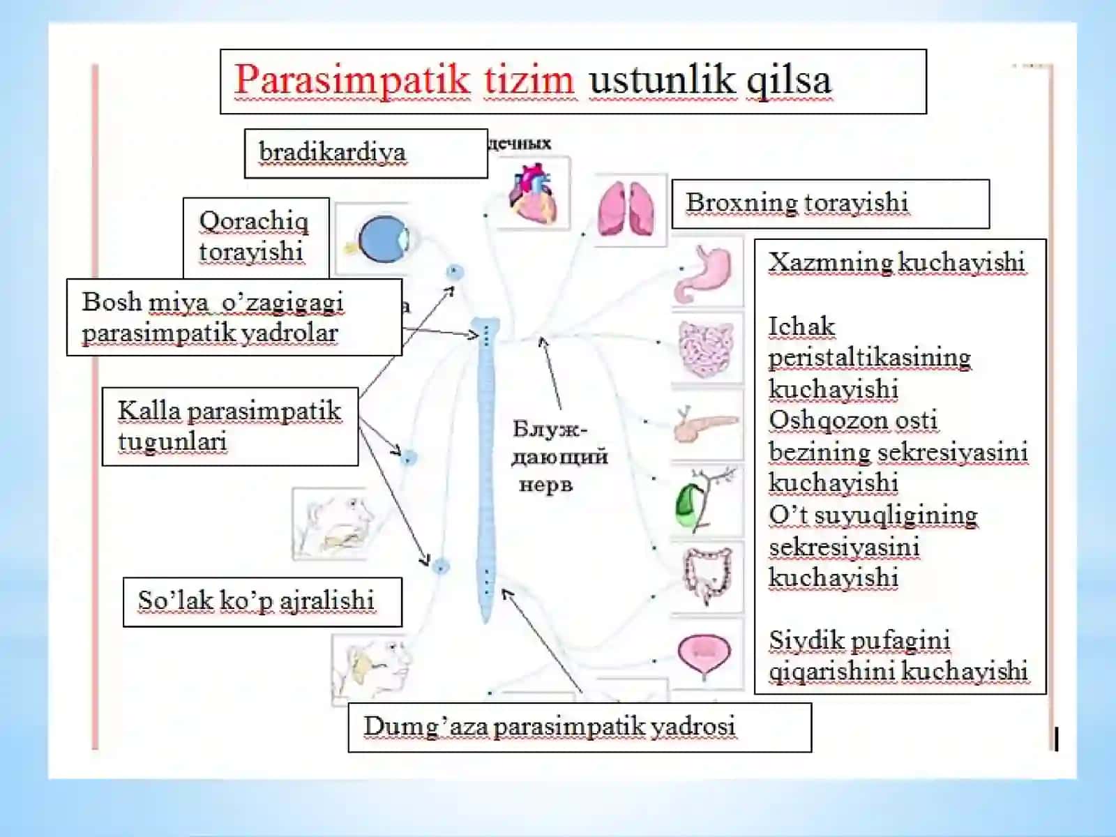 Vejetativ asab tizimi kasalliklari 4