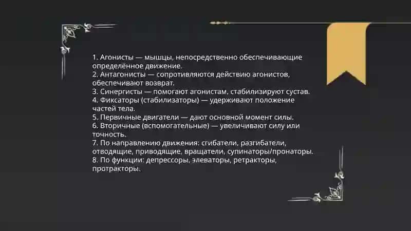 Функциональные классификация 4