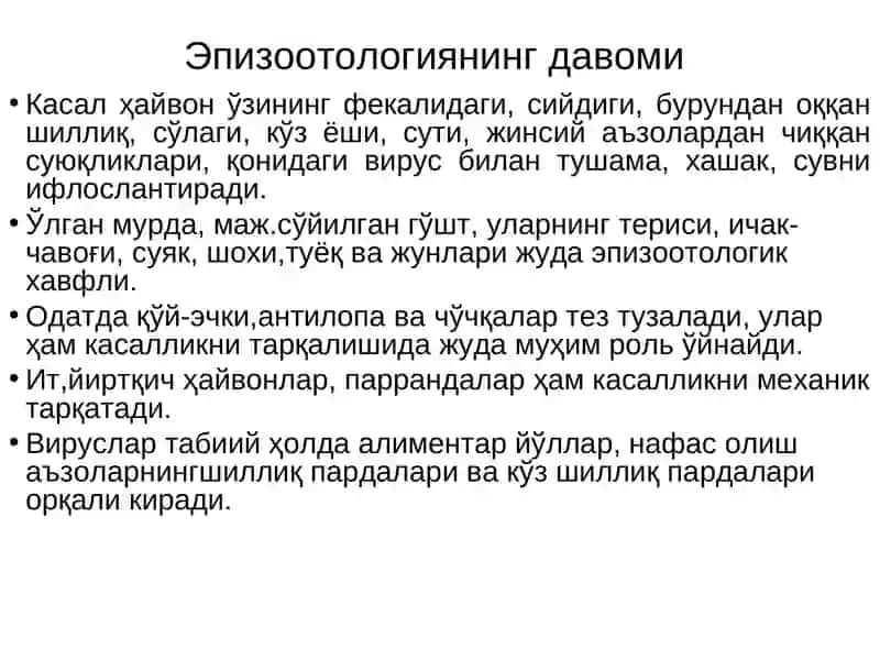 Қорамоллар ўлати 4
