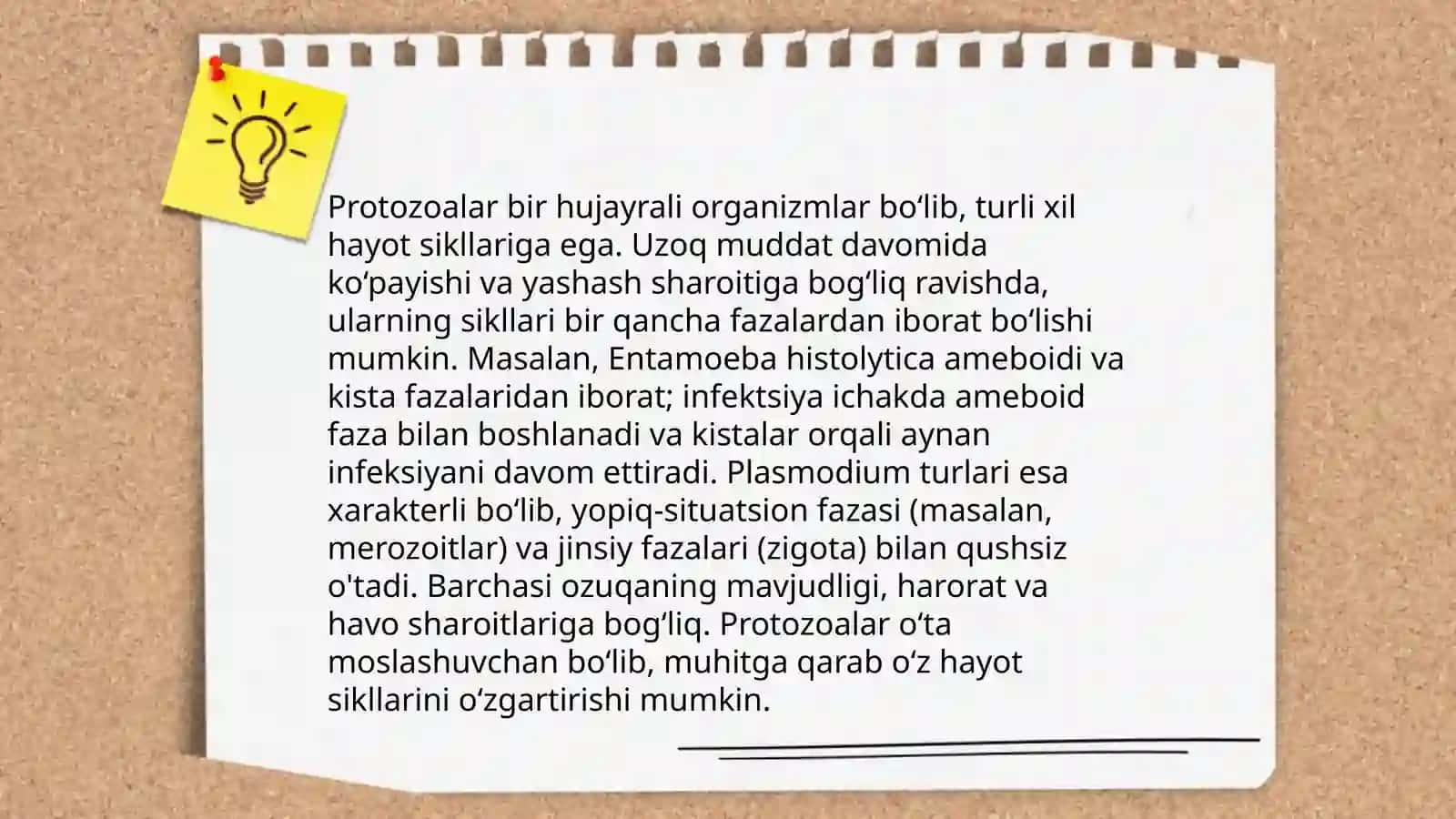 Sodda hayvonlar tipi protozoalar 4