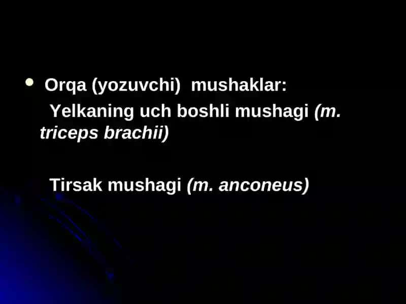 ANATOMIYA, KLINIK ANATOMIYA 4