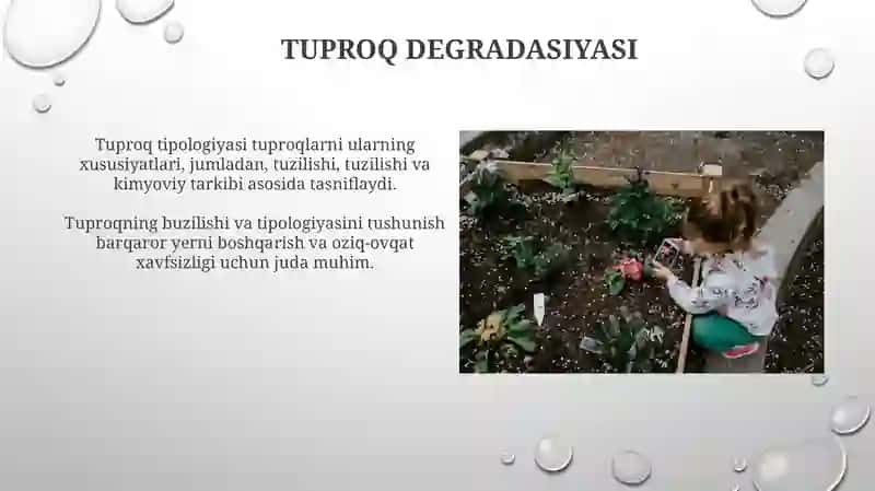 Tillar tipologiyasi 4