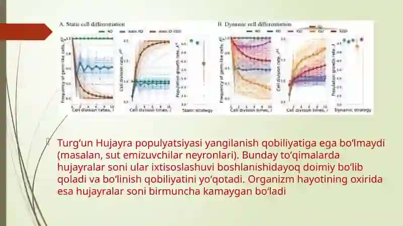 Hujayra populyatsiyasi turlari 4